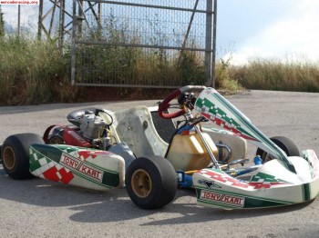 Kart fa con motor vortex del 2008. 3000 euros 