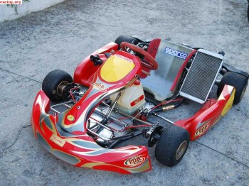 Vendo kart 125 marchas o cambio por coche