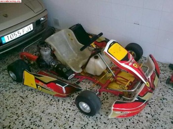 Vendo kart sq racing 125 automatico 1250 euros no negociable