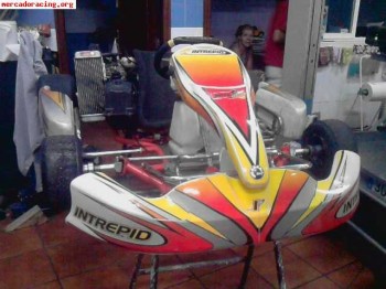 -----1600 euros intrepid,rotax max con precinto --------