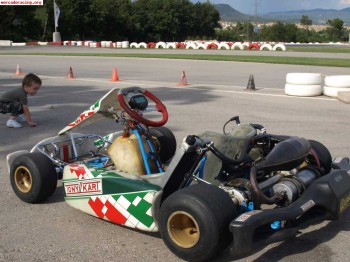 Tony kart fa 2008 vortex rok cambio por gt turbo 4000 euros.