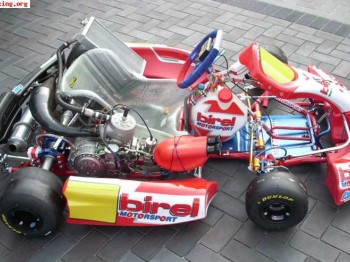 Busco chasis kz2 2009 o 2010 ( intrepid,tonykart,fa o birel 