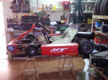 Kart 100cc 850e negociables