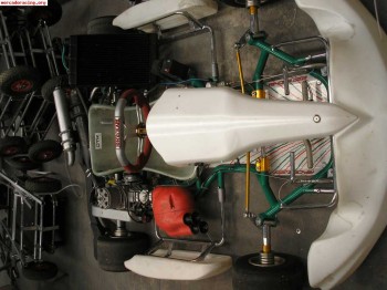 Chasis tony kart nuevo