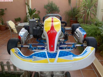 Se vende kart fa con motor rotax o se cambia por quad