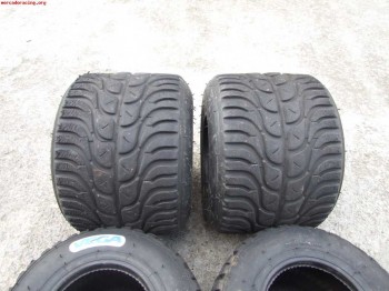 Neumaticos de agua vega,dunlop y bridgestone. 40 eur juego