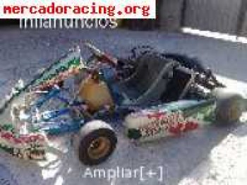 Kart fernando alonso del 2008 con motor vortex rok. cambio p