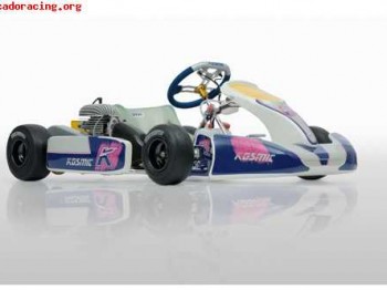 Cadete kosmic 2009 con motor puma 