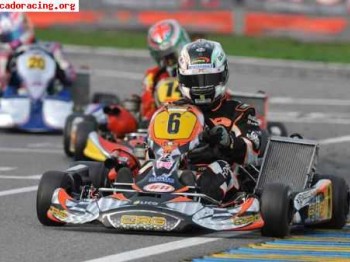 Se cambia karts crg-rotax 2010 mas dinero por kz o icc de ma