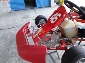 Kart 100cc automatico ideal para empezar.