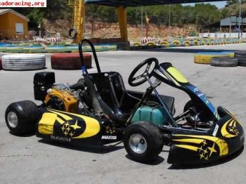 Vendo kart 4 tiempos subaru de 400 cc