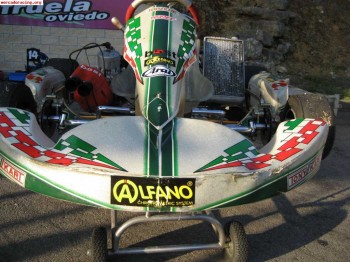 Vendo o cambio tonnykartevx  kz2 con motor tm k9c