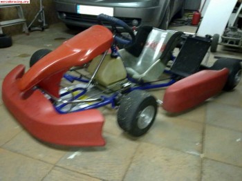 Vendo kart por no usar
