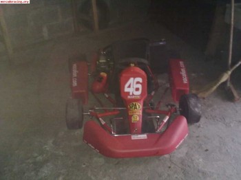 Se vende kart automatico