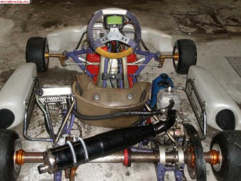 Vendo cart de 100 cc.