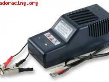 49€ cargador profesional de baterías   tester