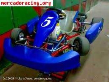 Rotax max 125