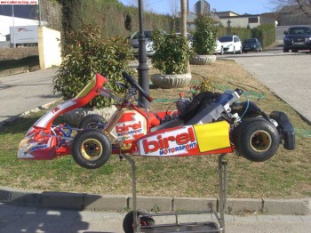 Birel 2009 kz