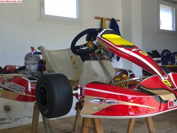 Kart 125 del 2010 