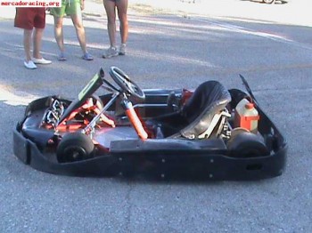 Flota de karts de alquiler