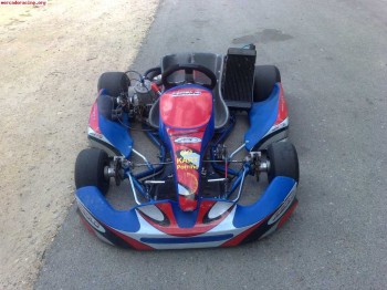 Kart 125 cc