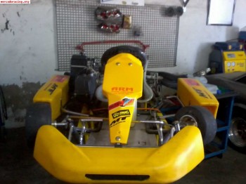 Vendo sodikart rotax max o cambio por quad