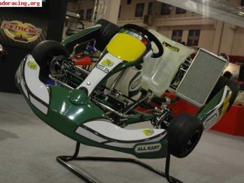 Nuevos chais allkart kz