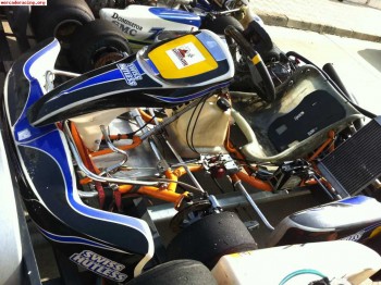  rotax dd2 con precintos cerado