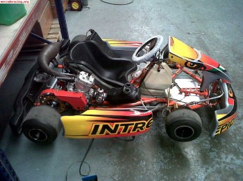 Se vende kart intrepid motor vortex rok