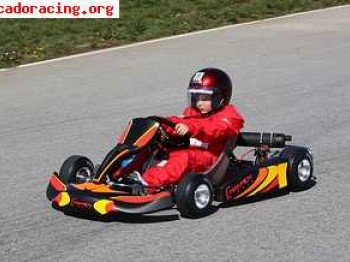 Karts en venta . profesional. 