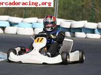 Se vende kart kz2 del 2008