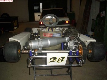 Vendo kart crg de 100cc 2t 