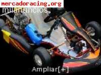 Venta kart fabricado en italia . champion kart .
