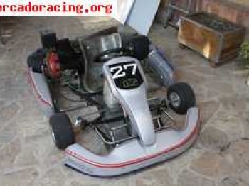 Kart skm (intrepid) honda 4 tiempos 