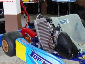 Kart comet con motor rotax 