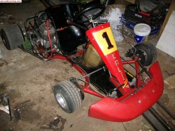 Se vende kali kart pavesi
