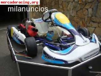 Se vende o cambia kart con remolque y equipacion