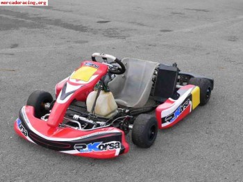 Kart kz2 crg   sgm 198