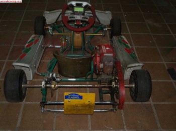 Toni kark cadete 80