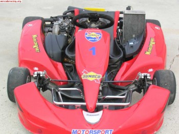 Kart rotax dd2 rm1