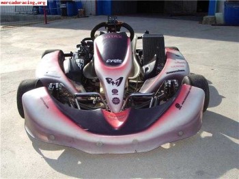Vendo kart rm1 motor rotax dd2  ,muy economico 2000€ 