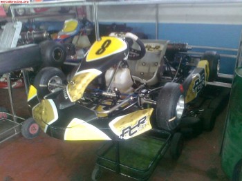 Pcr equipo oficial  - cadete 2011