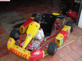 Kart 100cc 550€