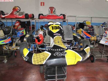 Pcr oficial kz 2011 con tm k9c
