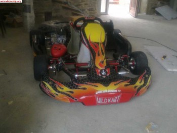 Venta o cambio willd kart 2008