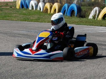 Se vende kart alpha   x30
