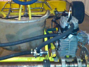 Vendo kart 100 c.c rotax