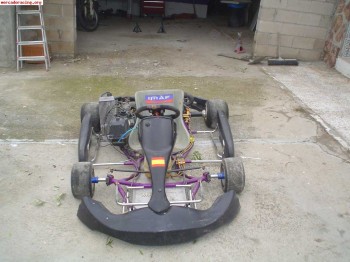 Se vende o se cambia kart rotax max 125 1400 euros