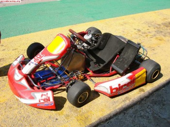 Se vende kart birel 125cc 6 marchas