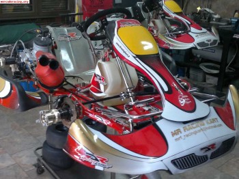 Vendo kart danilo rossi kz2 año 2010